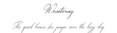 Wenstormy by Gracetype Studio — Script Handwritten Font — thumbnail 1