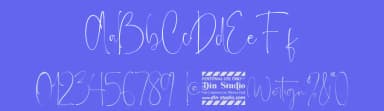 Wertign by Din Studio — Script Handwritten Font — thumbnail 3
