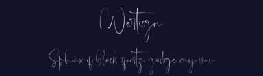 Wertign by Din Studio — Script Handwritten Font — thumbnail 2