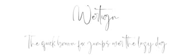 Wertign by Din Studio — Script Handwritten Font — thumbnail 1