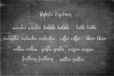 West Coast Font by sunday nomad — Script Handwritten Font — thumbnail 5