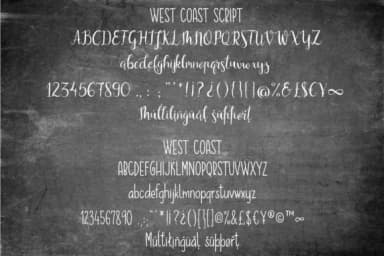 West Coast Font by sunday nomad — Script Handwritten Font — thumbnail 6