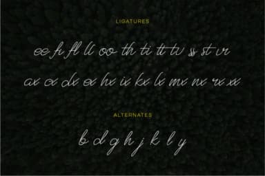 West Side Font by nadhira.felani — Script Handwritten Font — thumbnail 3