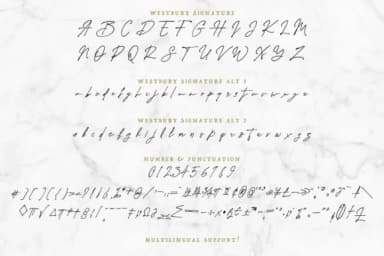 Westbury Signature Font by fontsgood — Script Handwritten Font — thumbnail 5