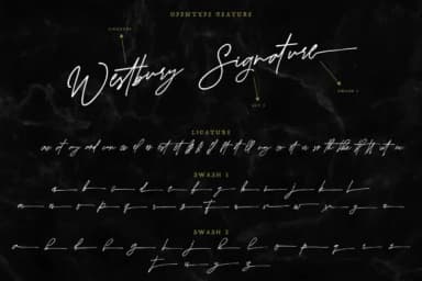 Westbury Signature Font by fontsgood — Script Handwritten Font — thumbnail 6