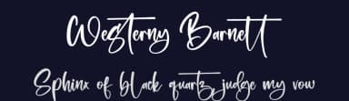 Westerny Barnett by Letterena Studios — Script Handwritten Font — thumbnail 2