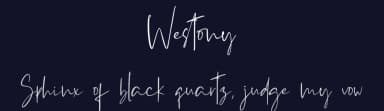 Westony by Haksen Studio — Script Handwritten Font — thumbnail 2