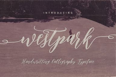 Westpark Script Font Duo Font by JumboDesign — Script Handwritten Font — thumbnail 5
