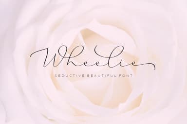 Wheelie Font by akrtype — Script Handwritten Font — thumbnail 6