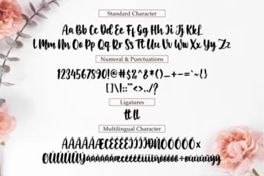 Wheslayne Script Font by R. Studio — Script Handwritten Font — thumbnail 6