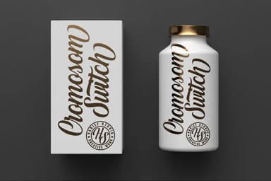 White Smith Font by Hanzel Studio — Script Handwritten Font — thumbnail 6