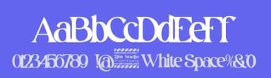 White Space by Din Studio — Serif Font — thumbnail 3