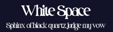 White Space by Din Studio — Serif Font — thumbnail 2