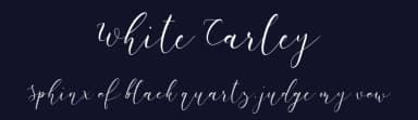 White Carley by Paily Studio — Script Handwritten Font — thumbnail 2