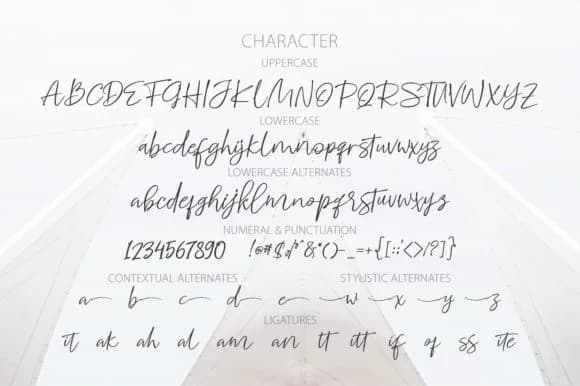 Whitecase Font by Motypeidea — Script Handwritten Font