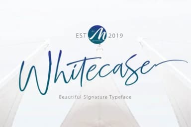 Whitecase Font by Motypeidea — Script Handwritten Font — thumbnail 3