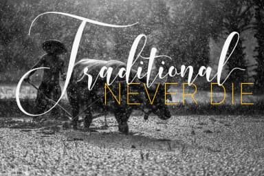 Whitedove Script Font by FadeLine — Script Handwritten Font — thumbnail 9