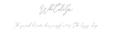 Whitelisa by Maulana Creative — Script Handwritten Font — thumbnail 1