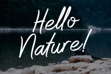 Whitelist Font by Sibelumpagi Studio — Script Handwritten Font — thumbnail 5