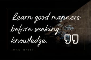 Whitelist Font by Sibelumpagi Studio — Script Handwritten Font — thumbnail 9