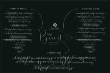 Whitening Font by cropstudio — Script Handwritten Font — thumbnail 5