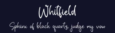 Whitfield by Letterena Studios — Script Handwritten Font — thumbnail 2
