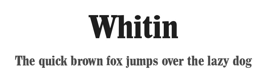 Whitin by ClaudeP — Serif Font