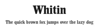 Whitin by ClaudeP — Serif Font — thumbnail 1