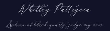Whitley Pattrycia by Storytype Studio — Script Handwritten Font — thumbnail 2