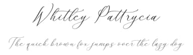 Whitley Pattrycia by Storytype Studio — Script Handwritten Font — thumbnail 1