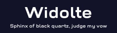Widolte by Studio Typo — Sans Serif Font — thumbnail 2