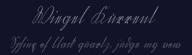 Wiegel Kurrent by Peter Wiegel — Script Handwritten Font — thumbnail 2