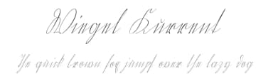 Wiegel Kurrent by Peter Wiegel — Script Handwritten Font — thumbnail 1