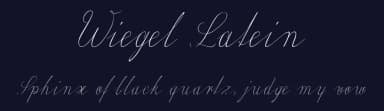Wiegel Latein by Peter Wiegel — Script Handwritten Font — thumbnail 2