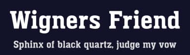 Wigners Friend by Paul Miller — Serif Font — thumbnail 2