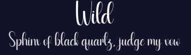Wild by Andi Moz — Script Handwritten Font — thumbnail 2