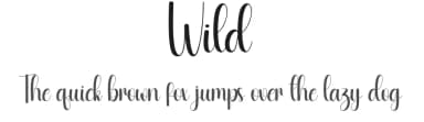 Wild by Andi Moz — Script Handwritten Font — thumbnail 1