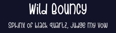 Wild Bouncy by Forberas Club — Script Handwritten Font — thumbnail 2