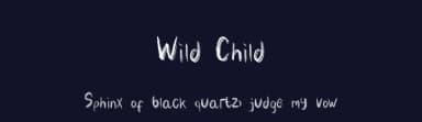 Wild Child by Phantom Studio — Script Handwritten Font — thumbnail 2