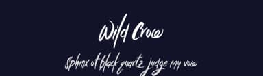 Wild Crow by Abraham Type (AldeDesign Studio) — Script Handwritten Font — thumbnail 2