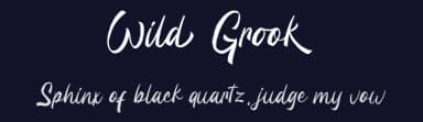 Wild Grook by Attype Studio — Script Handwritten Font — thumbnail 2