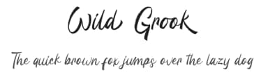 Wild Grook by Attype Studio — Script Handwritten Font — thumbnail 1