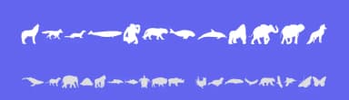 Wild Life by Glyphcraft — Dingbats Font — thumbnail 3