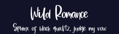 Wild Romance by DM Letter Studio - Dimas Prasetyo — Script Handwritten Font — thumbnail 2
