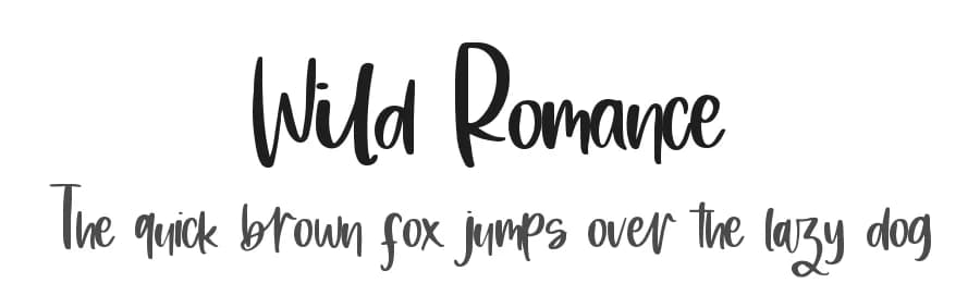 Wild Romance by DM Letter Studio - Dimas Prasetyo — Script Handwritten Font