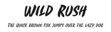 Wild Rush by Eko Bimantara — Script Handwritten Font — thumbnail 1
