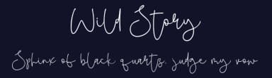 Wild Story by olivetype — Script Handwritten Font — thumbnail 2