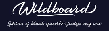 Wildboard by Calligraphy Fonts — Script Handwritten Font — thumbnail 2