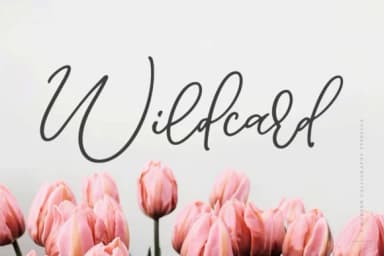 Wildcard Font by Ayca Atalay — Script Handwritten Font — thumbnail 1