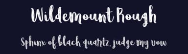 Wildemount Rough by Brittney Murphy Design — Script Handwritten Font — thumbnail 2